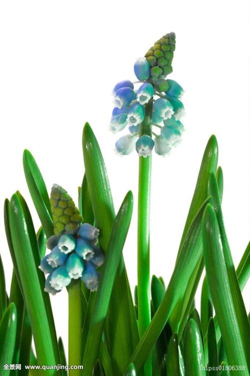 ҳܰ,ʦ͵͵ڿ ϸλǩЭ飿