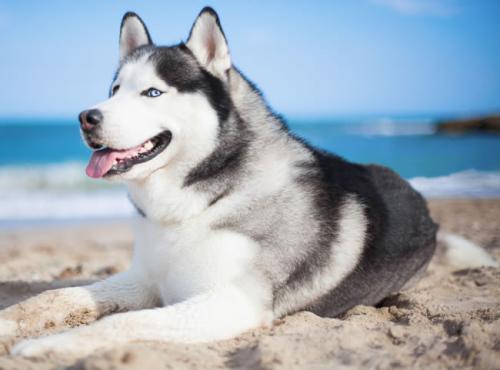 ҳܰ,ʦ͵͵ڿ ϸλǩЭ飿